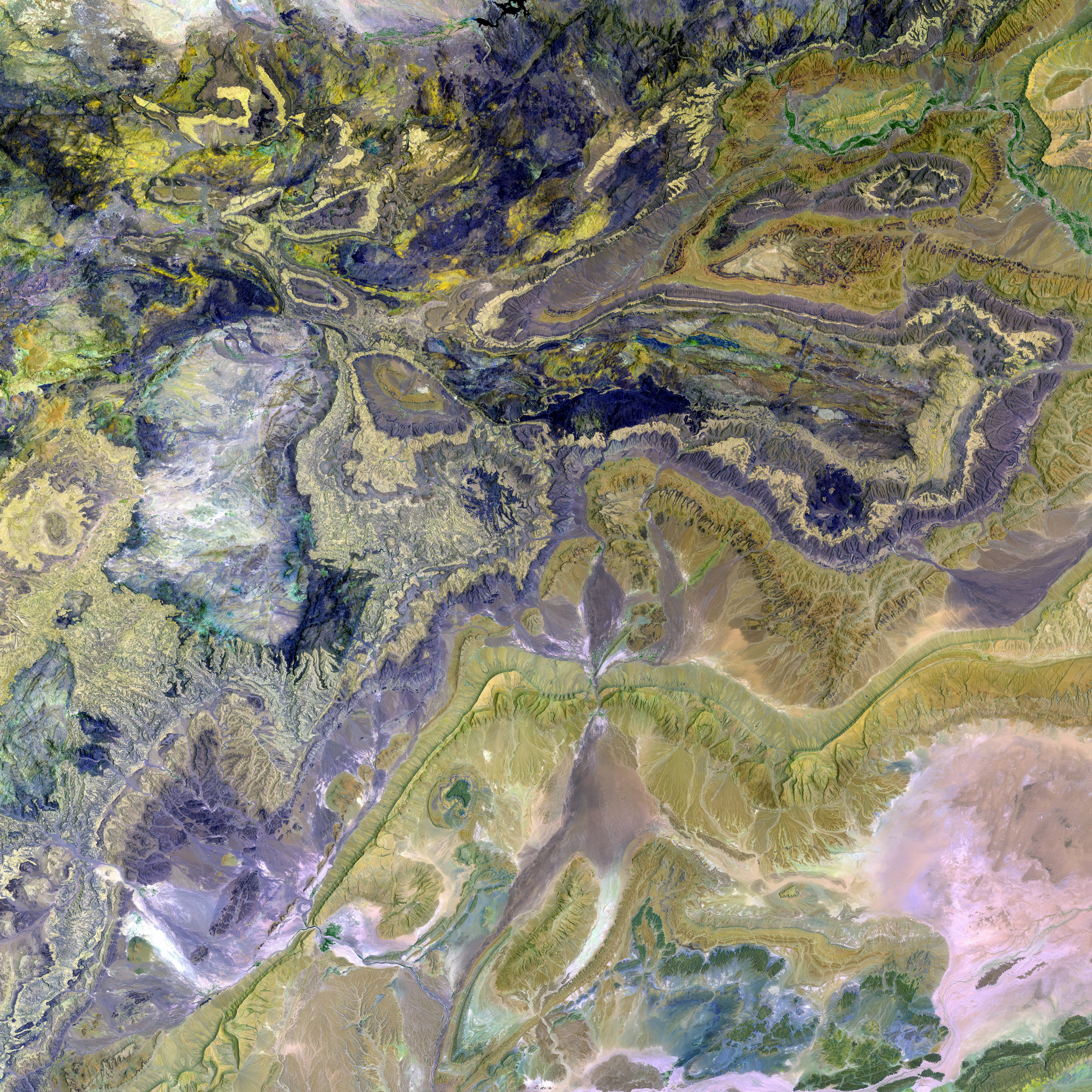 Esplora le destinazioni più ambite in tutto il mondo per avvistamenti di razze mantella, complete...