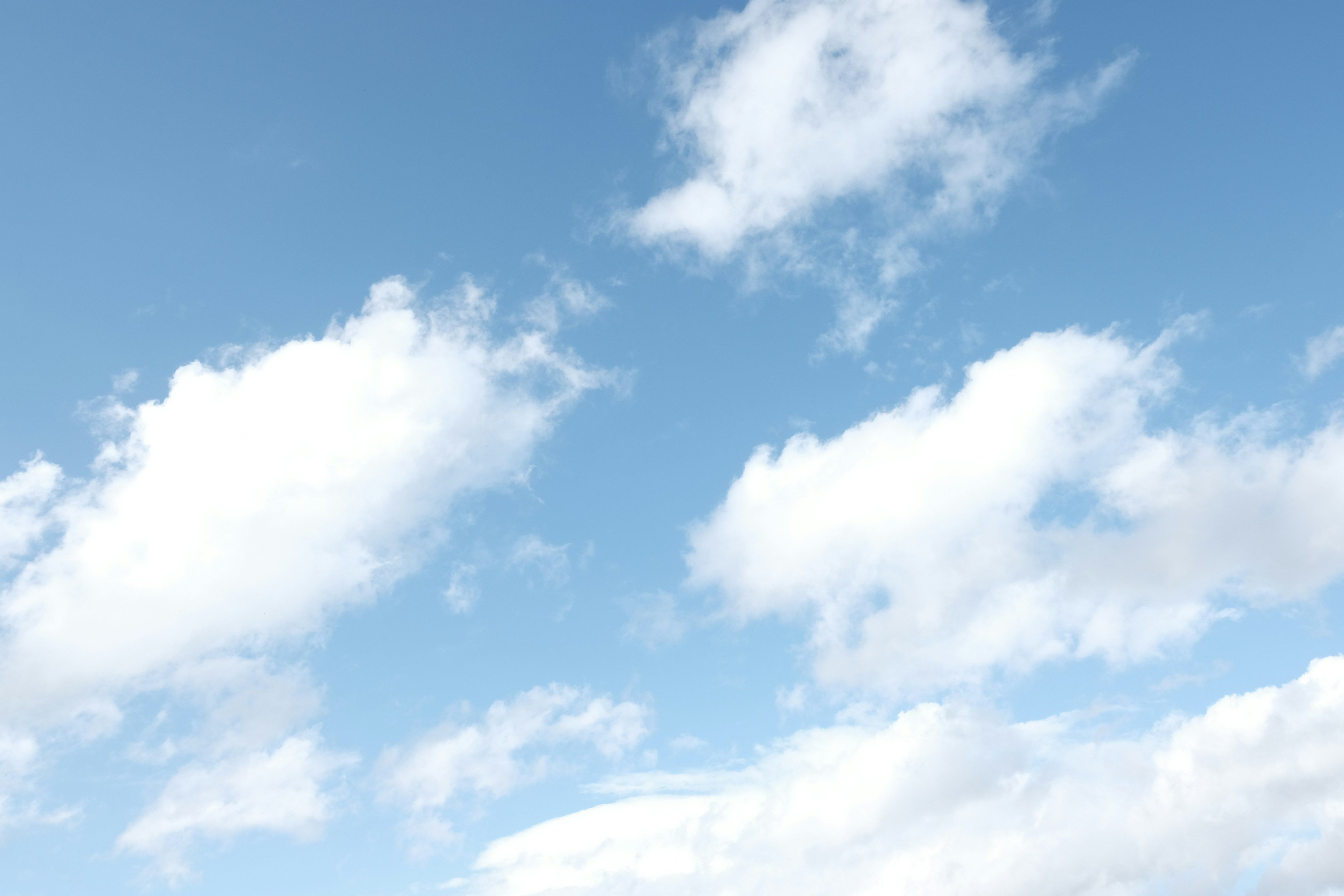 Un sistema immunitario robusto è cruciale per proteggere il tuo corpo dalle malattie e dalle...