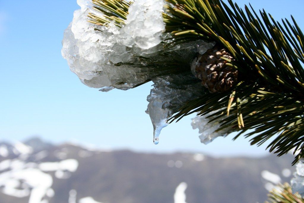 La citizen della Pennsylvania Deanna Slamans, imprenditrice dell'e-commerce, ha ottenuto una...