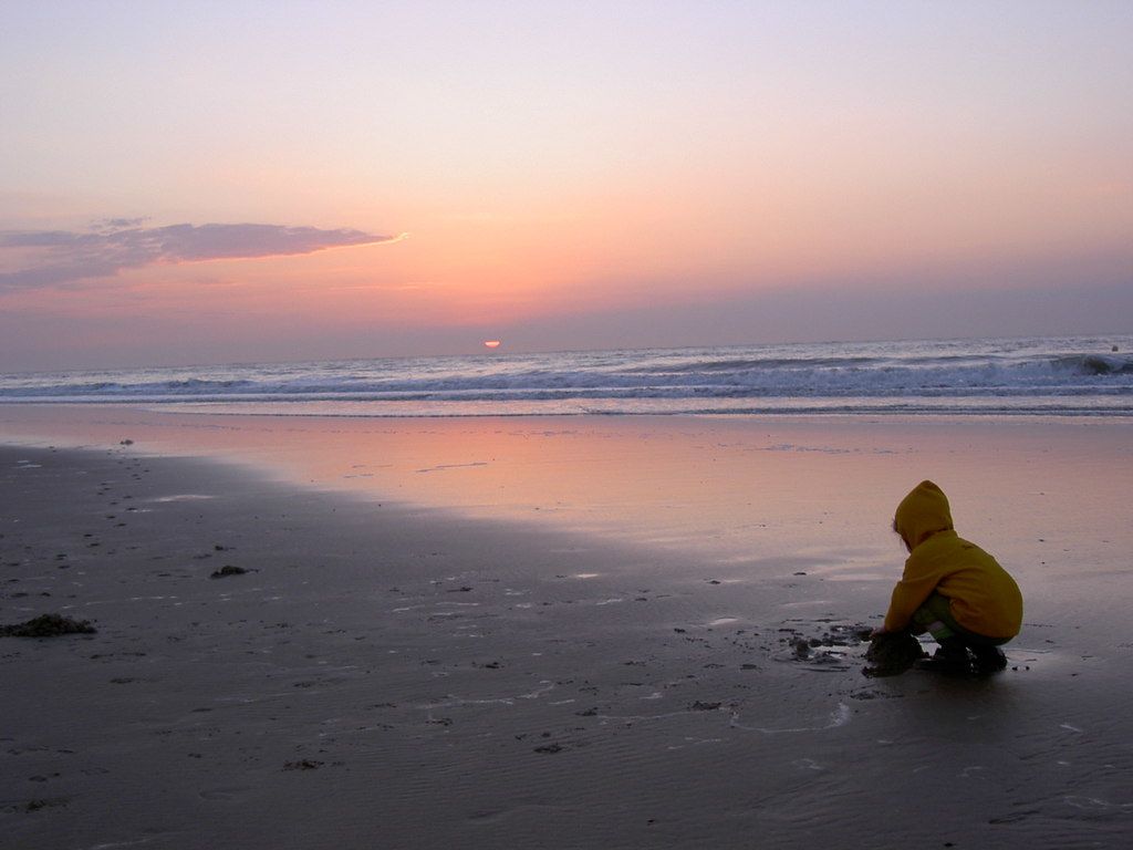 Verdetto IOPC: compensazione concessa di INR 20,5 crore, violazione della garanzia in serie 