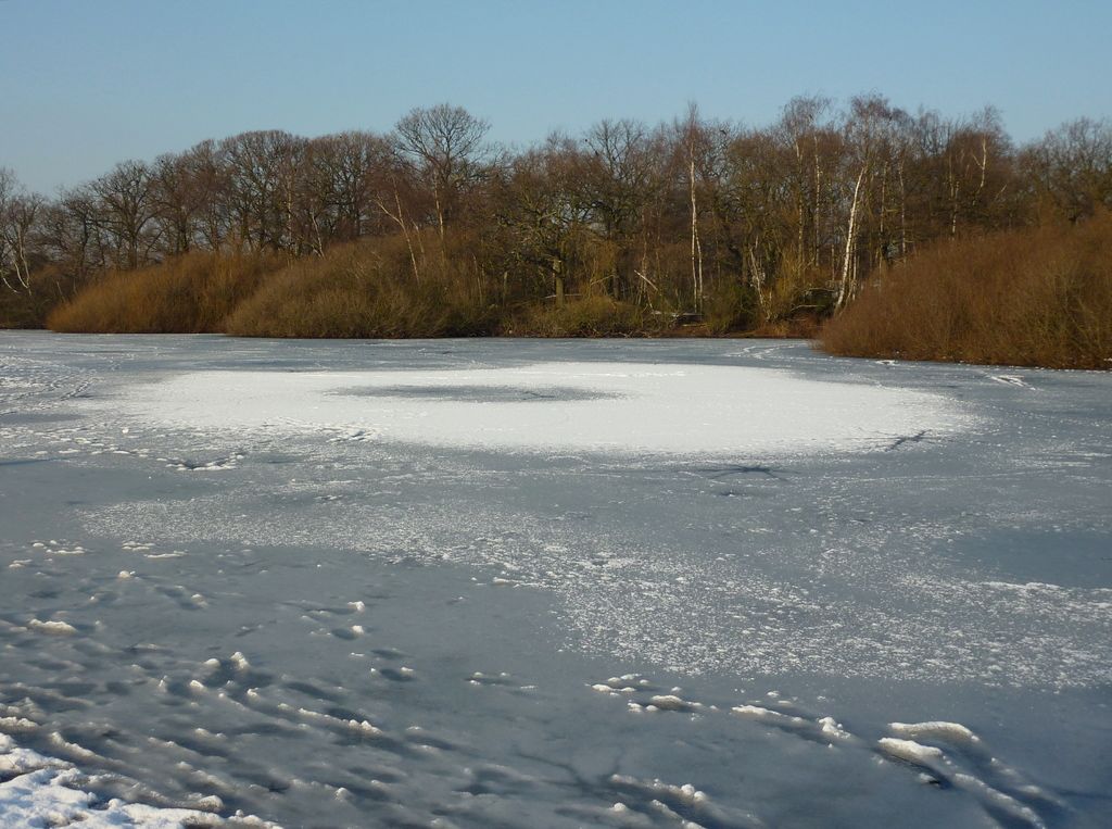 Appartamenti studio economici a New York potrebbero non essere facilmente disponibili come si era...