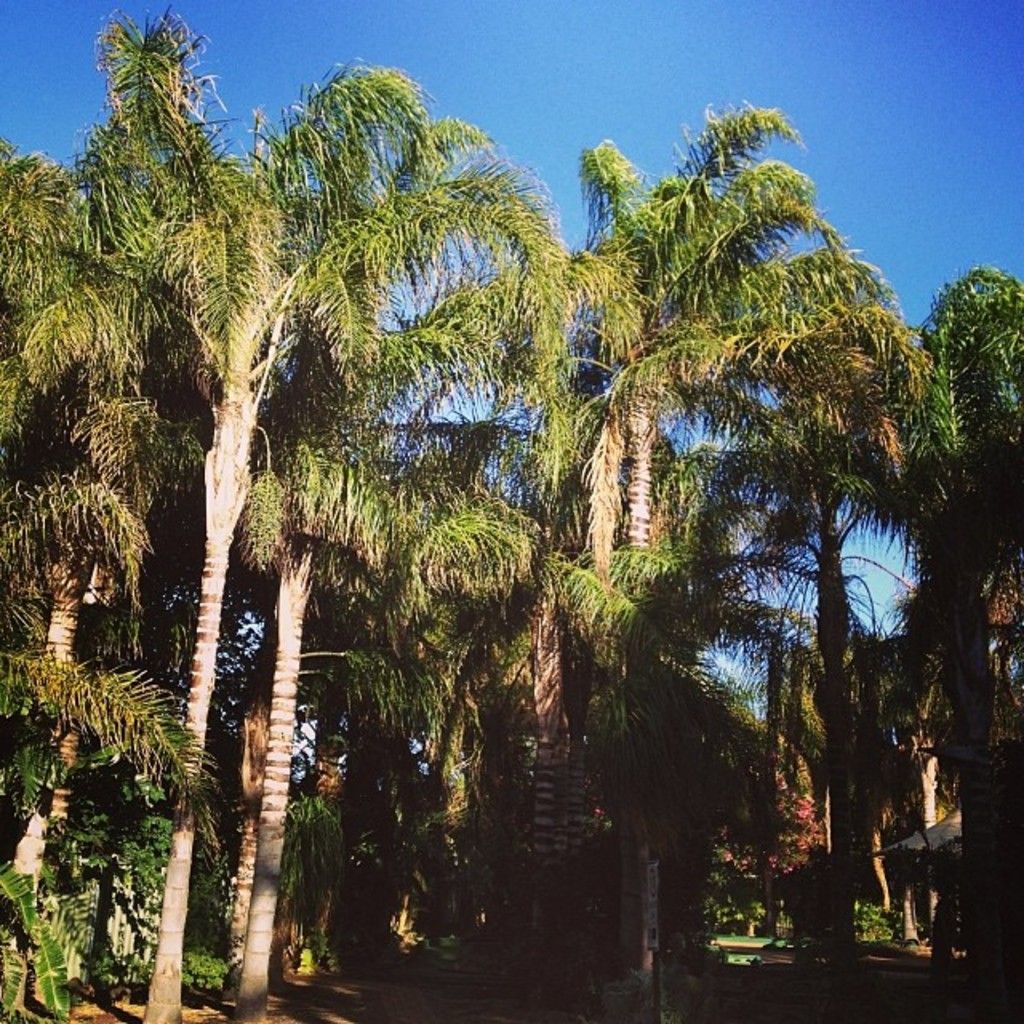 Discussioni all'interno del Comitato Esecutivo dell'Illinois ruotano intorno alla registrazione...