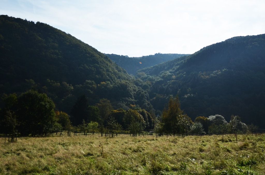 Autorità dei Giochi Olandese rafforza l'applicazione delle normative, agisce subito contro le...