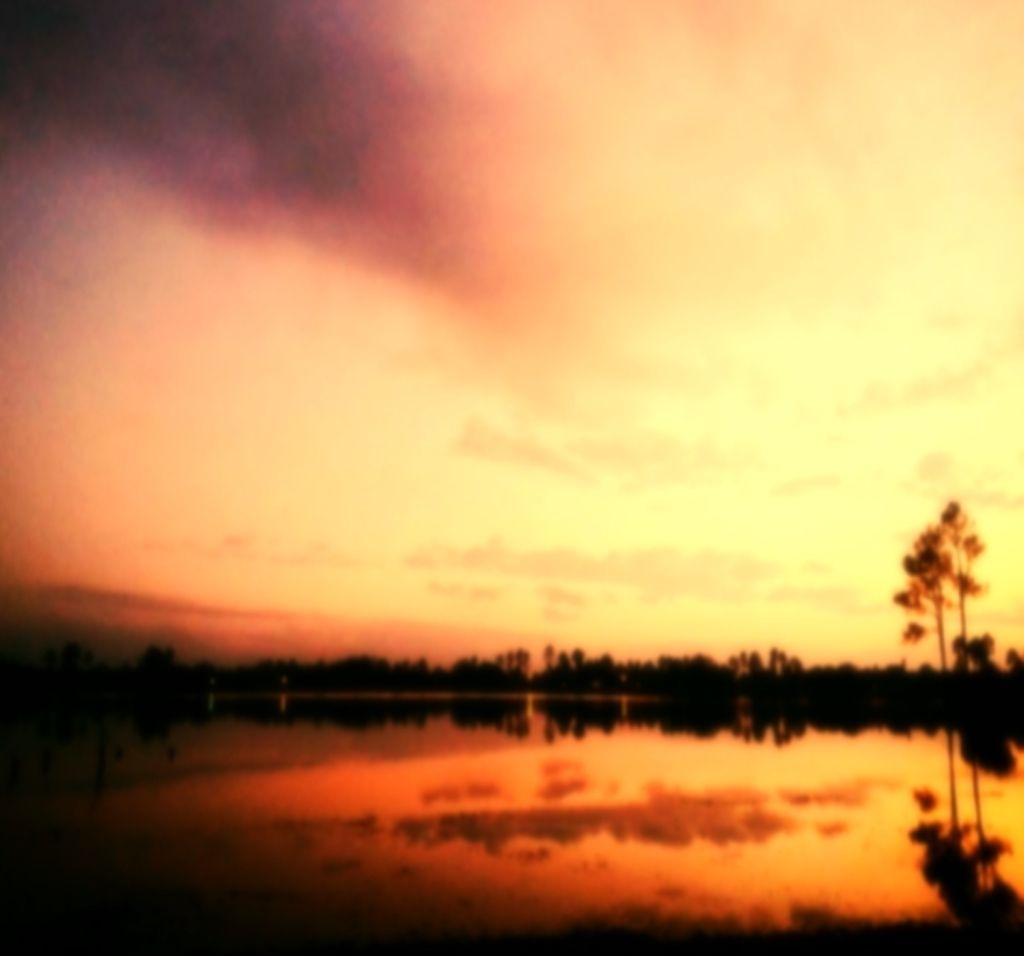 Scopri l'anima dell'Argentina, mentre ci immergiamo nella sua vivace trama culturale, svelando il...