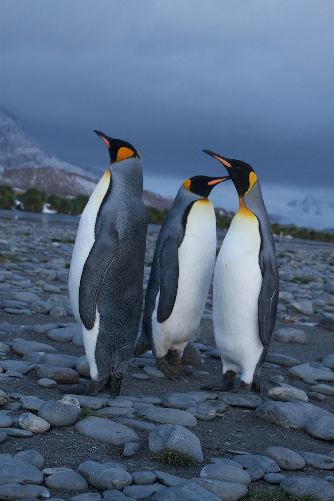 Tempi di attesa per ottenere un posto in strutture residenziali per anziani pubbliche variano da...