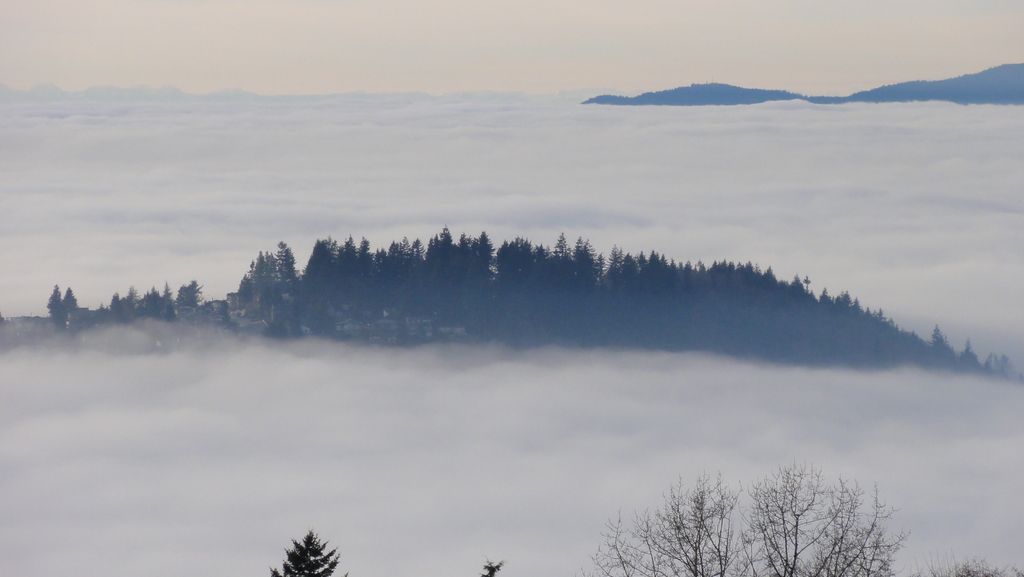 La settimana del poker online evidenzia vittorie significative dei giocatori MTT indiani e notizie...