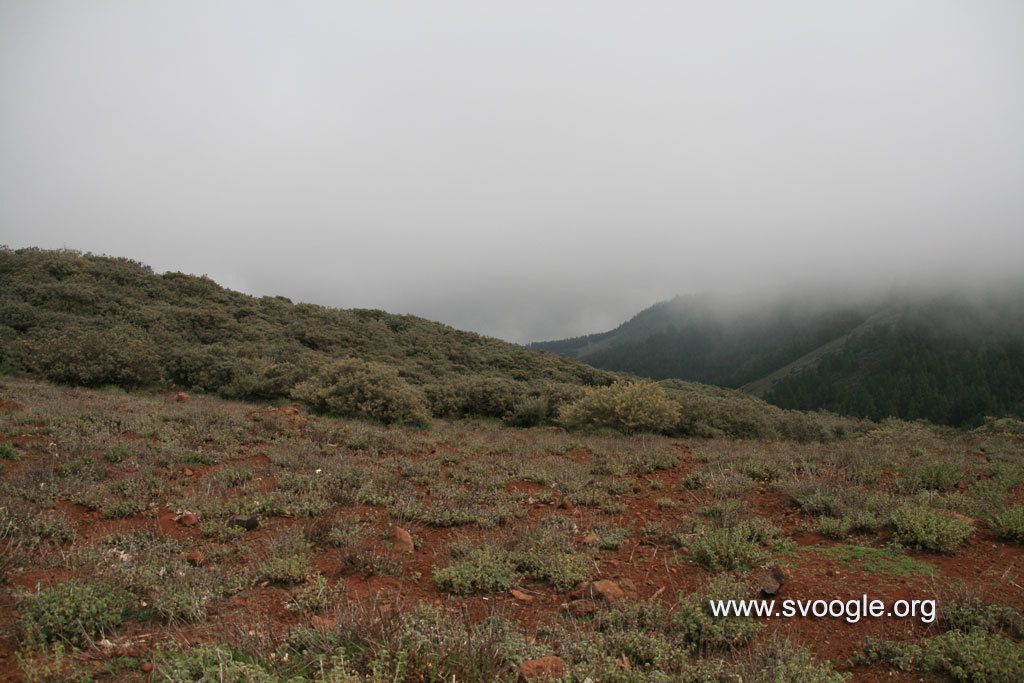 Controversia sull Sta Хотя-shadow betting in Australia, con il 23enne australiano Gordon Burns al...