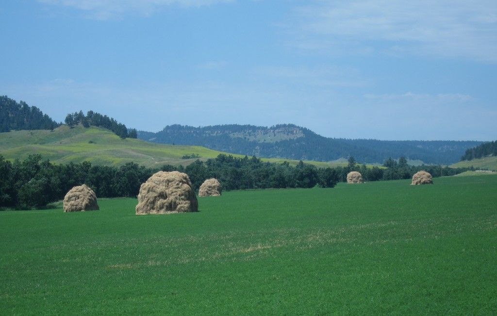 Esplora i trattamenti per le crisi convulsive e il cancro, i funghi psicoattivi che regolano gli...