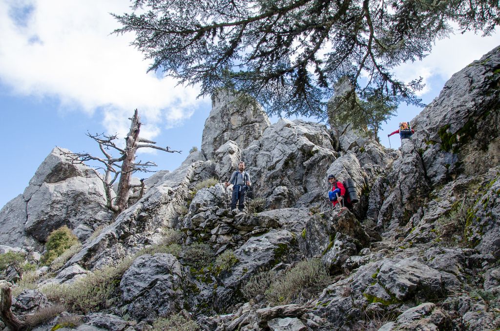 Le serate di Poker Online delle lunes producono consistenti vincite per i giocatori indiani ai...