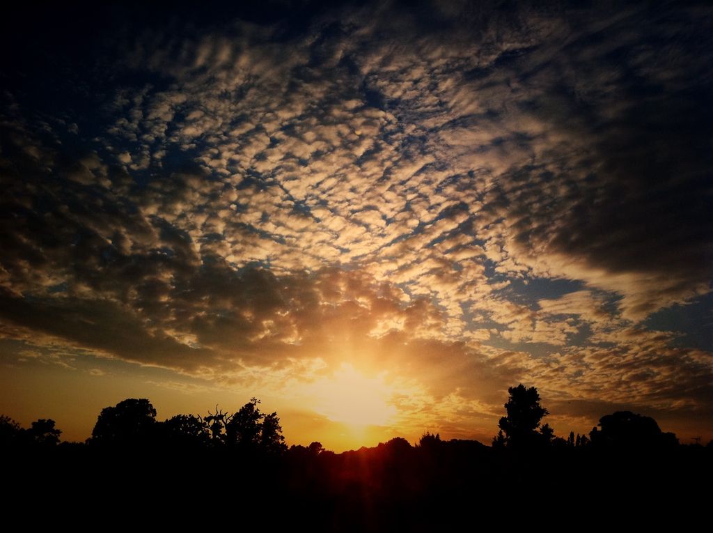  жители, собранные без химии Brain Booster Spread, еда с акцентом на здоровье, изготавливается...