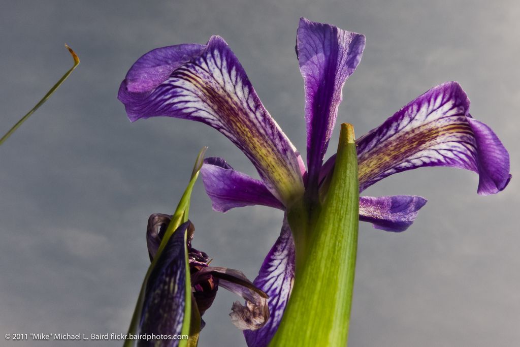 Il Procuratore Generale di Washington D.C. esamina Intralot per presunte carenze nelle operazioni...