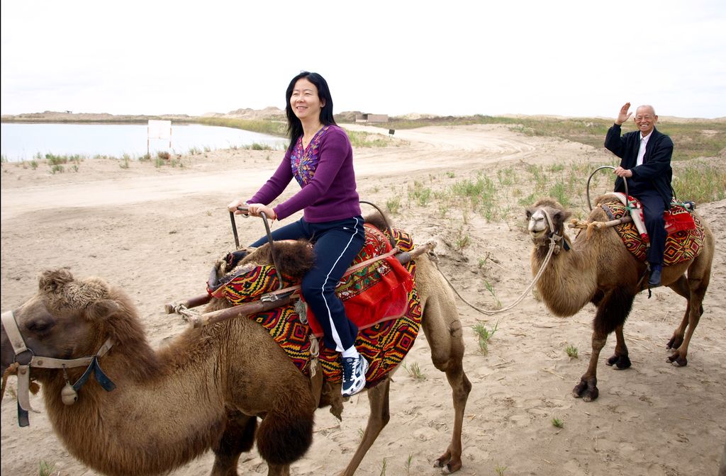 Esplora il fascino delle Slot da Cavallo! Ammira le visuali incantevoli e gli elementi avvincenti...