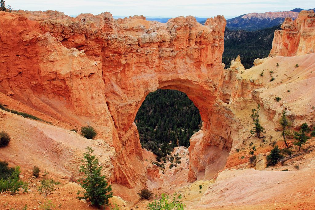 Vivi l EMG rarezza del 13 giugno WSOP, dove Philip Sternheimer, Christopher Leach e Joao Vieira...