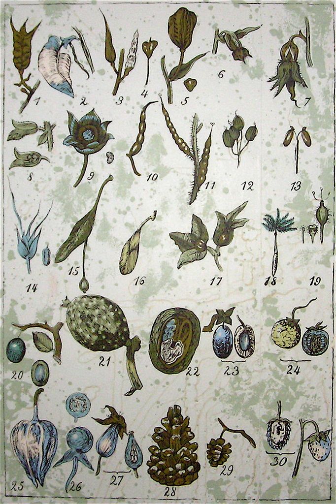 Nella recente competizione, Berthold Winz della Germania ha conquistato il primo posto,...